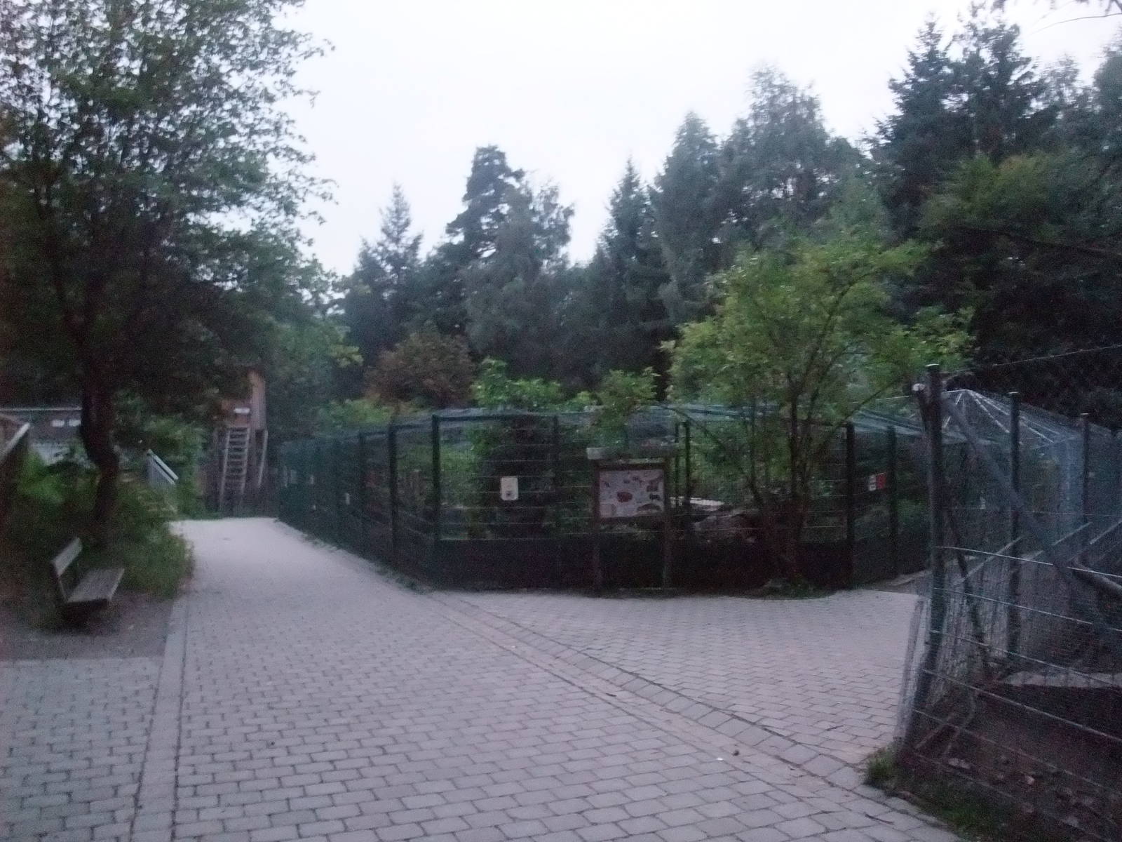Carnivore Exhibits at Wildpark Pforzheim, 02/09/10