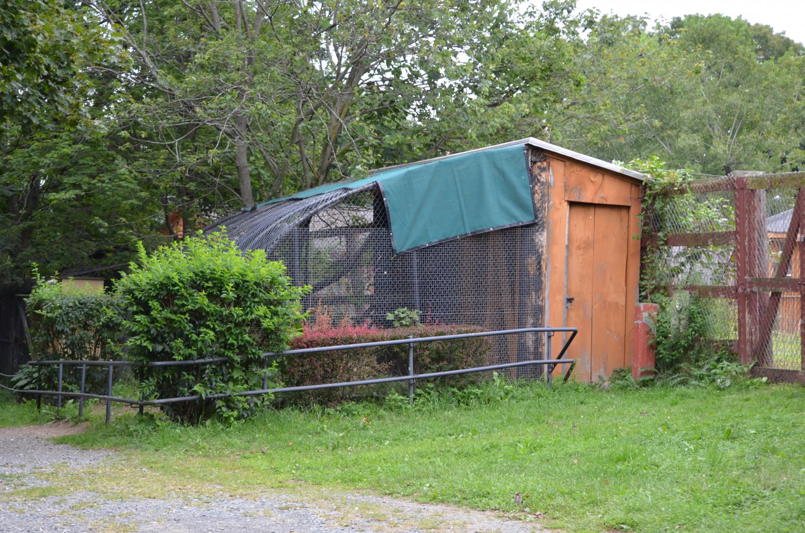 Carnivore Holding (Silver Fox?)