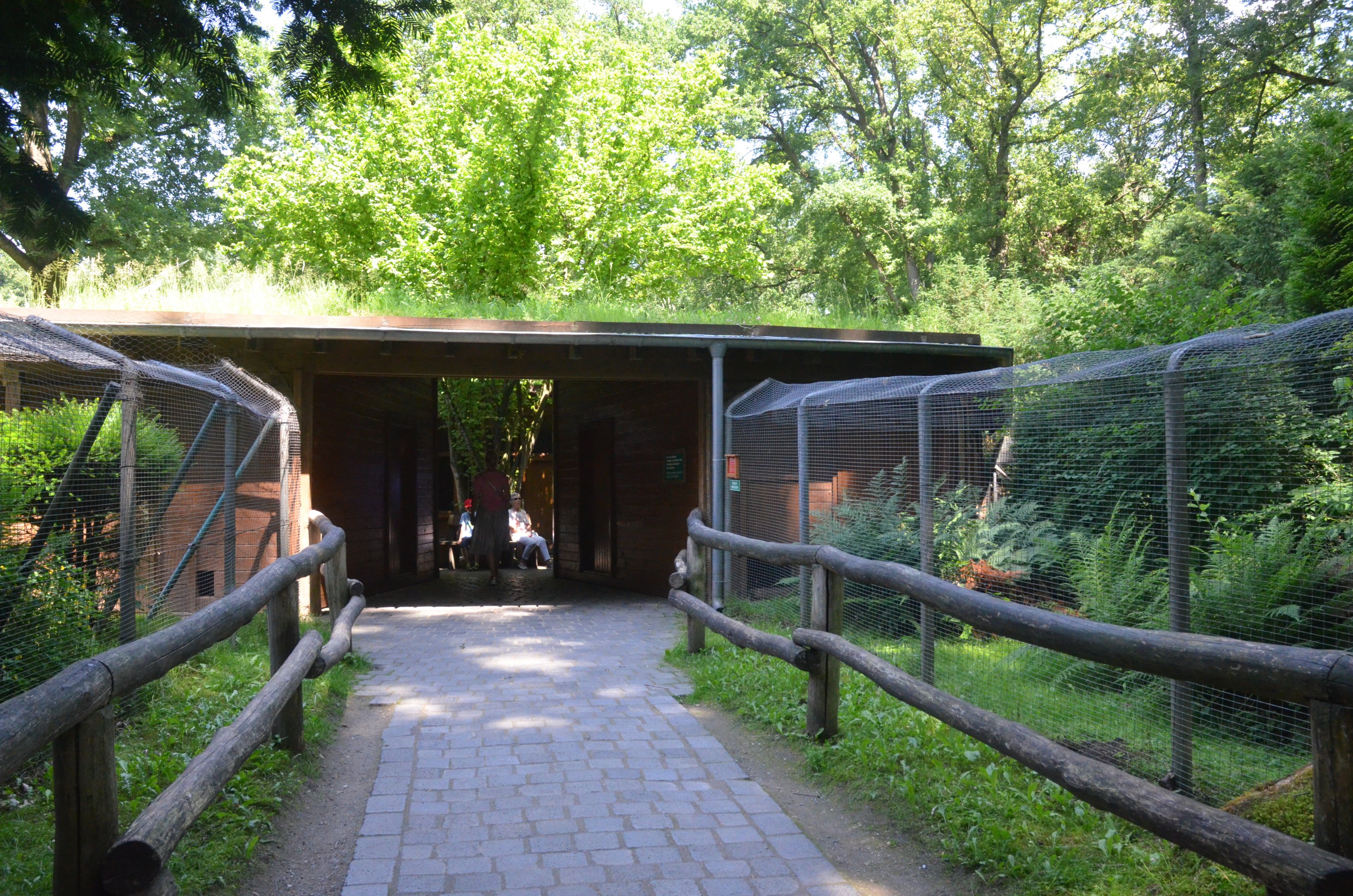 Carnivore House at Wildpark Grafenberger Wald, 23/06/2019