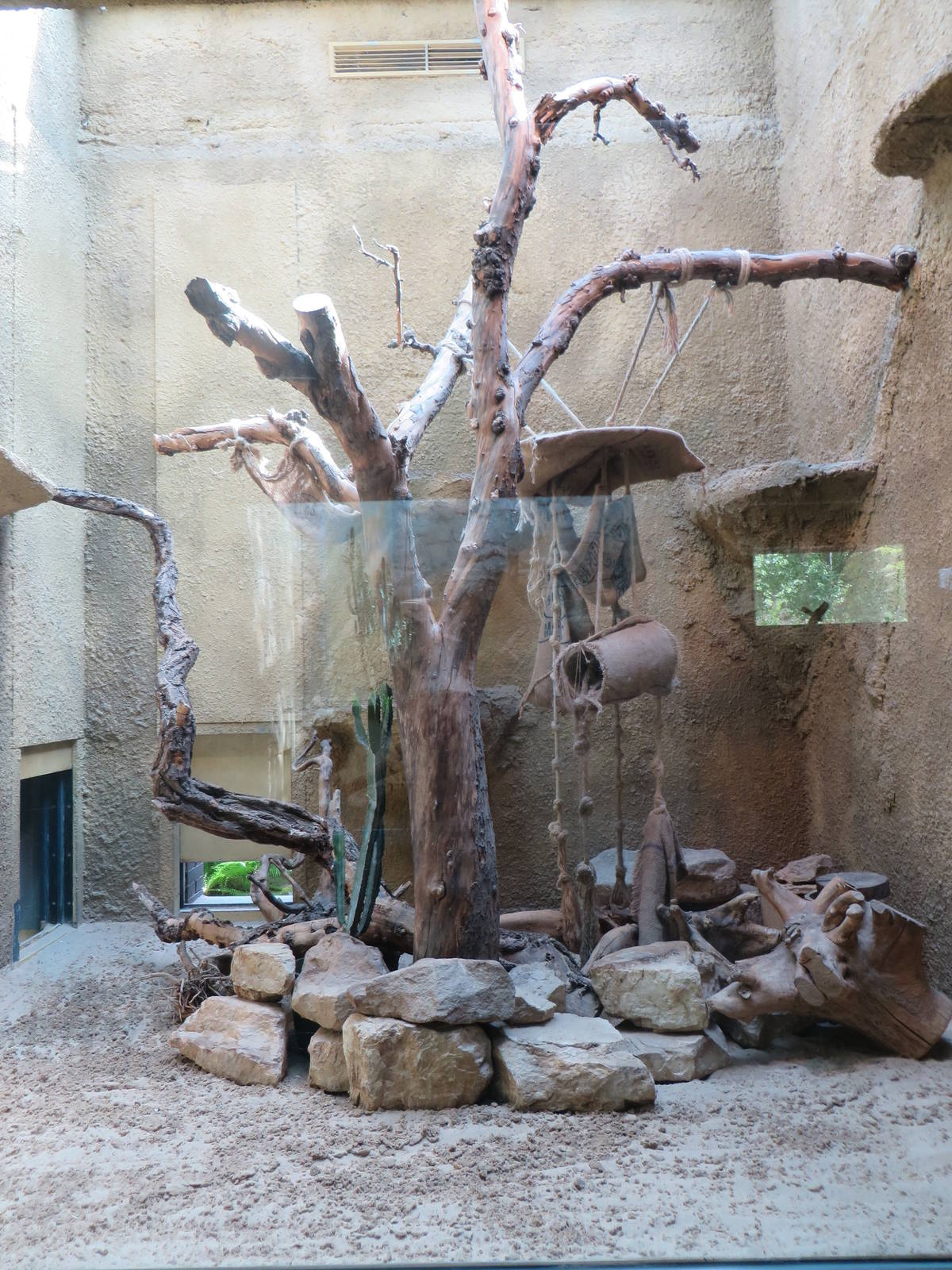 Carnivore house - Boky indoors