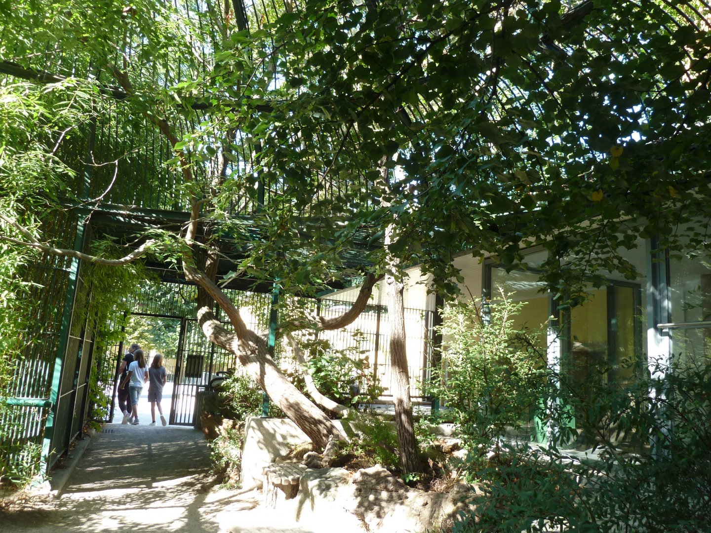 Carnivore House - Former carnivore cage with cheetah viewing point