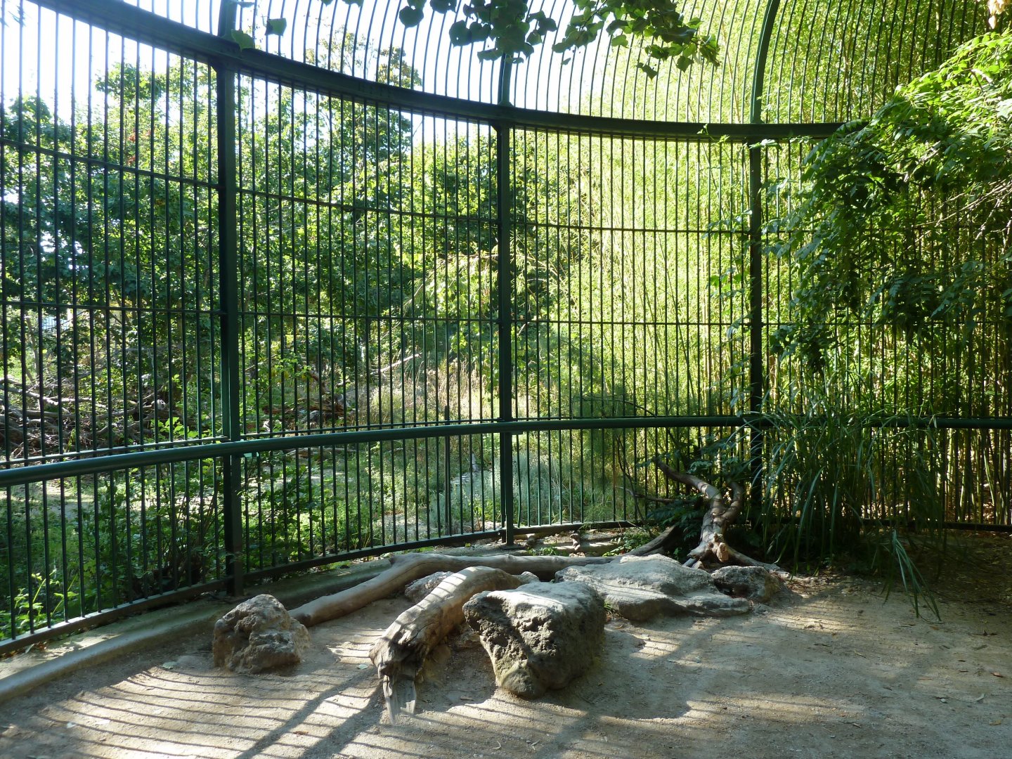Carnivore House - Former carnivore cage with cheetah viewing point