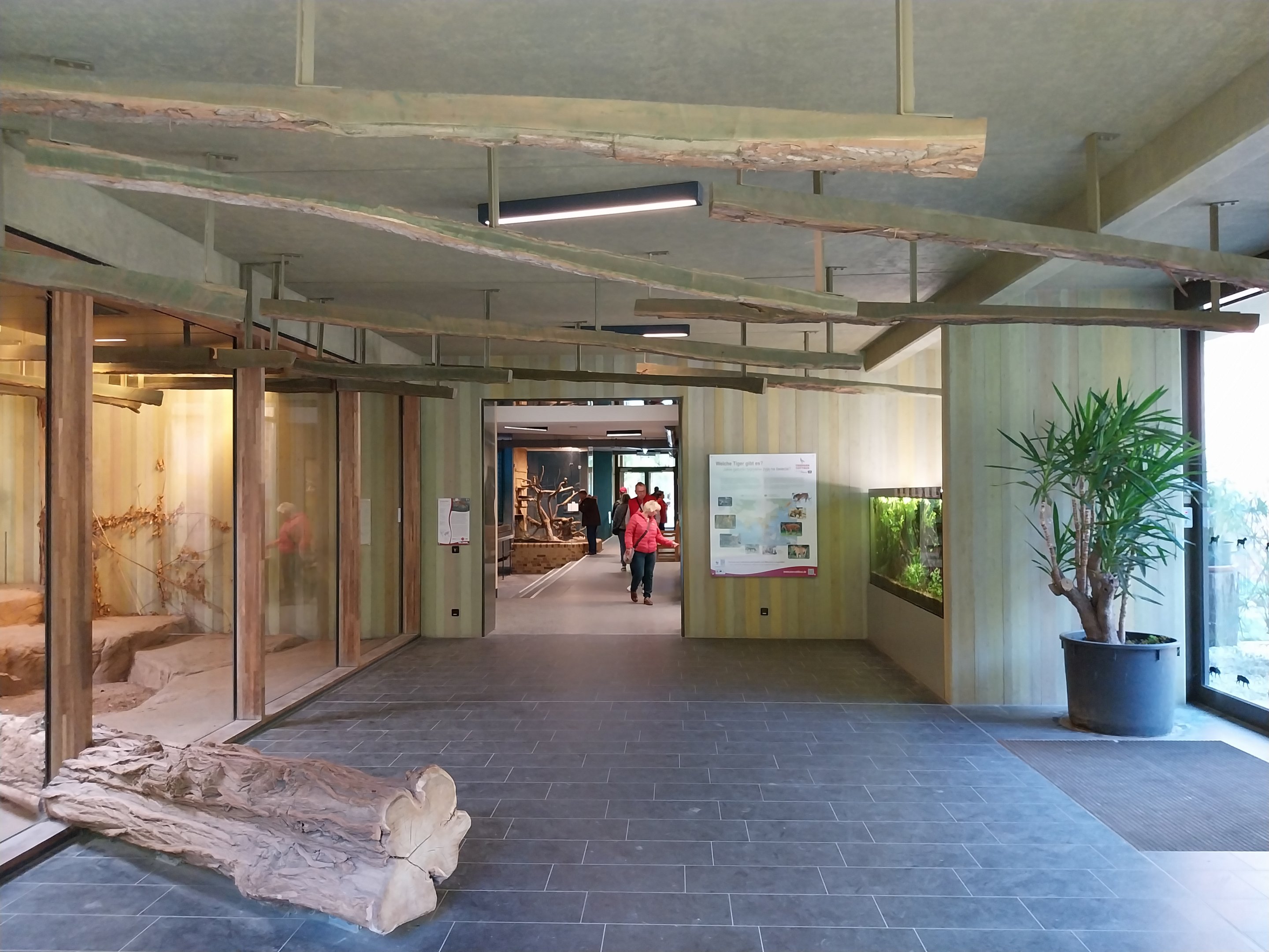 Carnivore House - General view