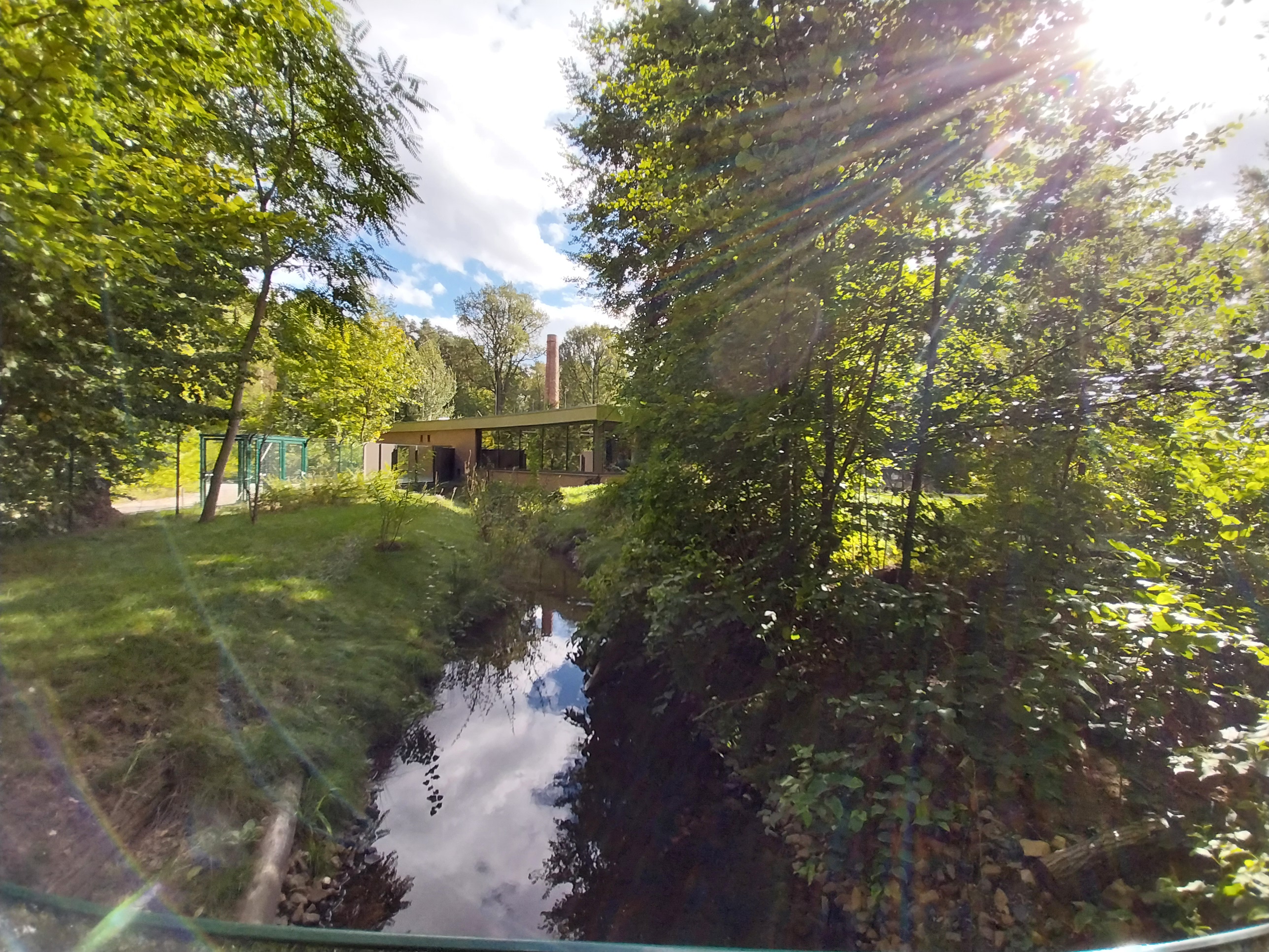 Carnivore House - Giant Otter (Pteronura brasiliensis)