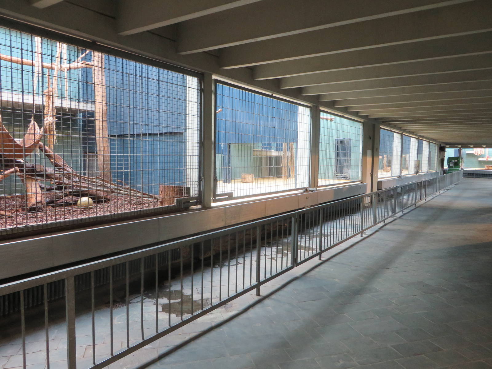 Carnivore house - indoor enclosures