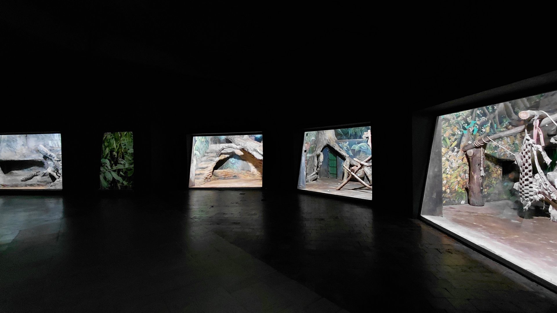 Carnivore house indoors