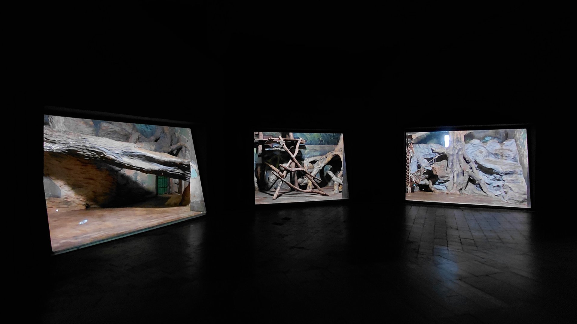 Carnivore house indoors