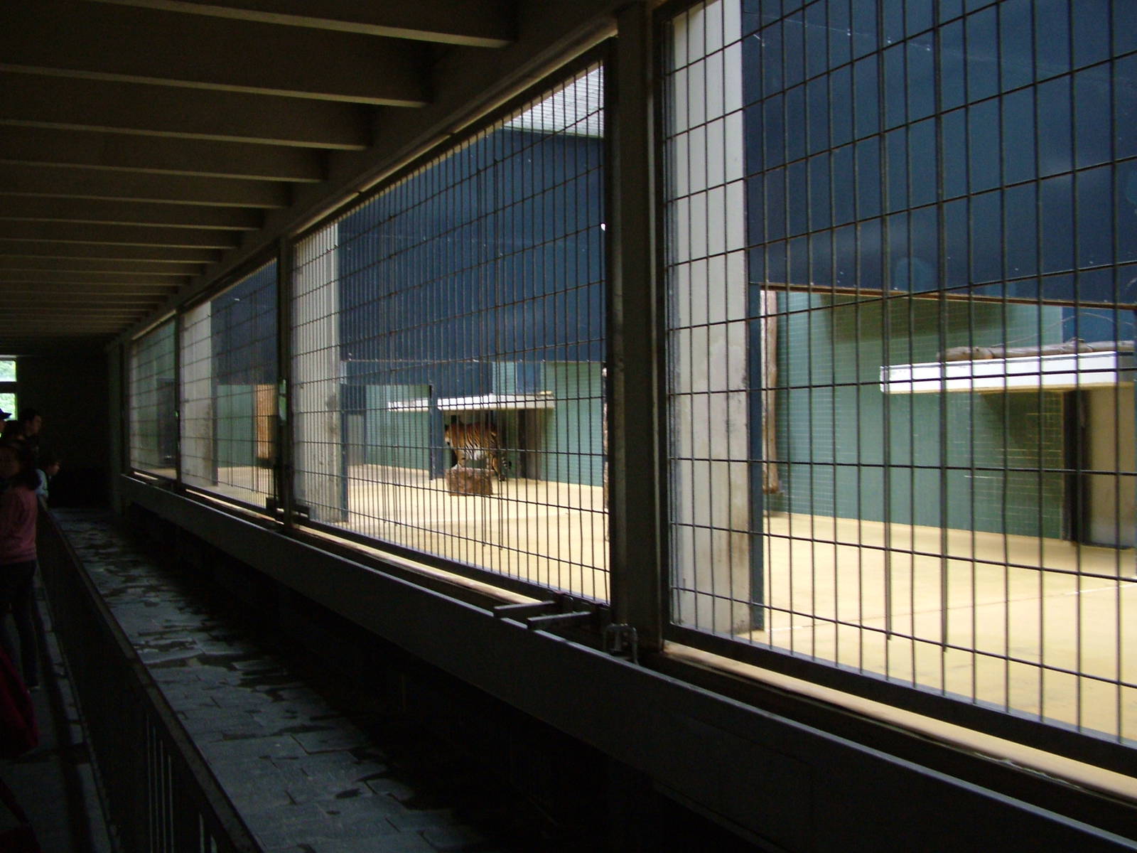 Carnivore House Interior at Berlin Zoo, 31/08/11