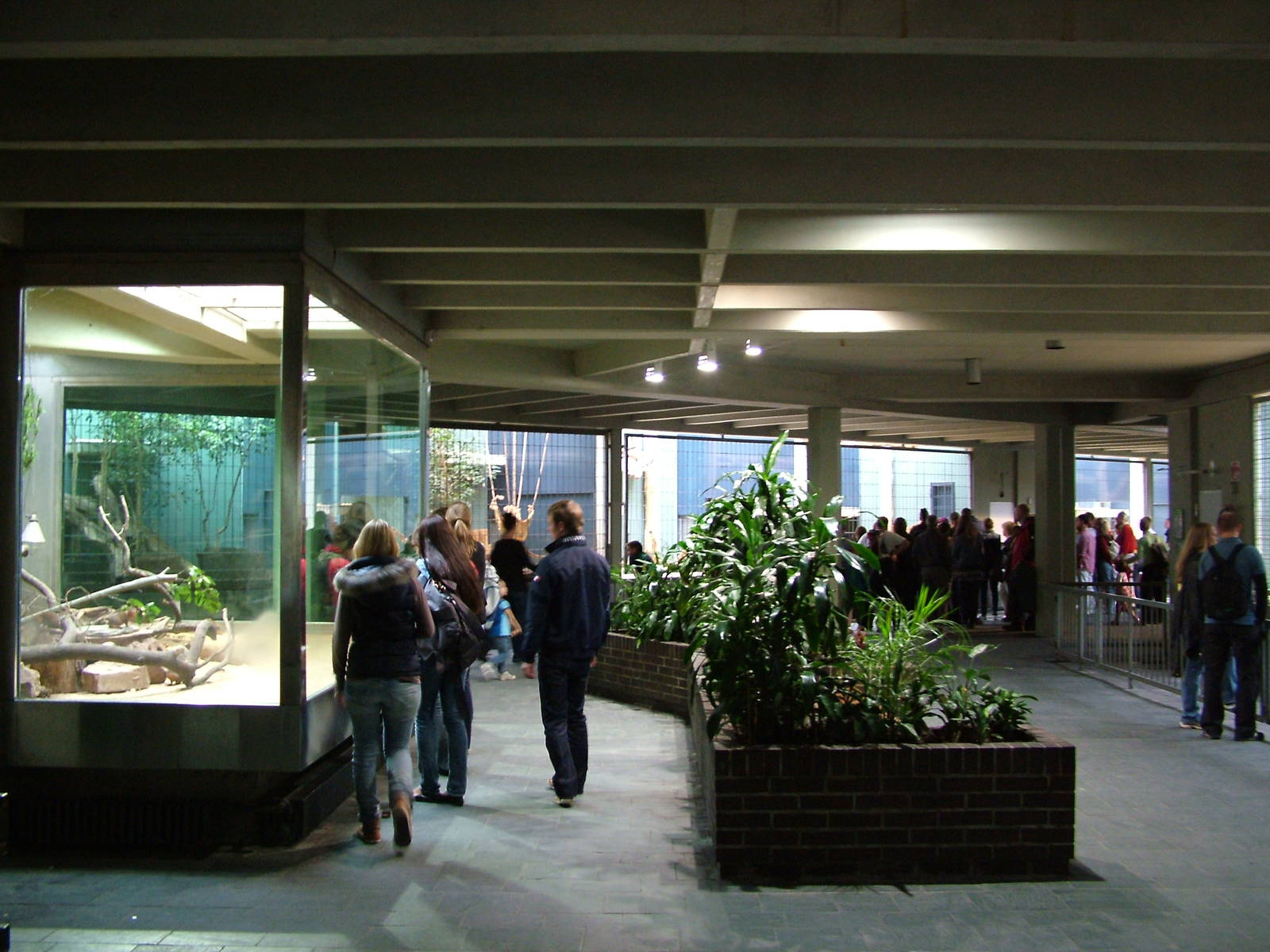 Carnivore House Interior at Berlin Zoo, 31/08/11
