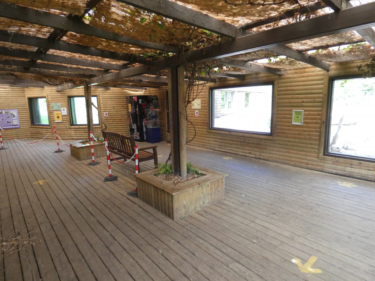 Carnivore house interior