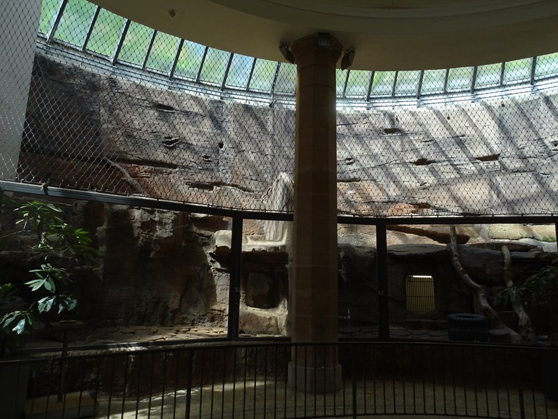 Carnivore House: lion indoor enclosure