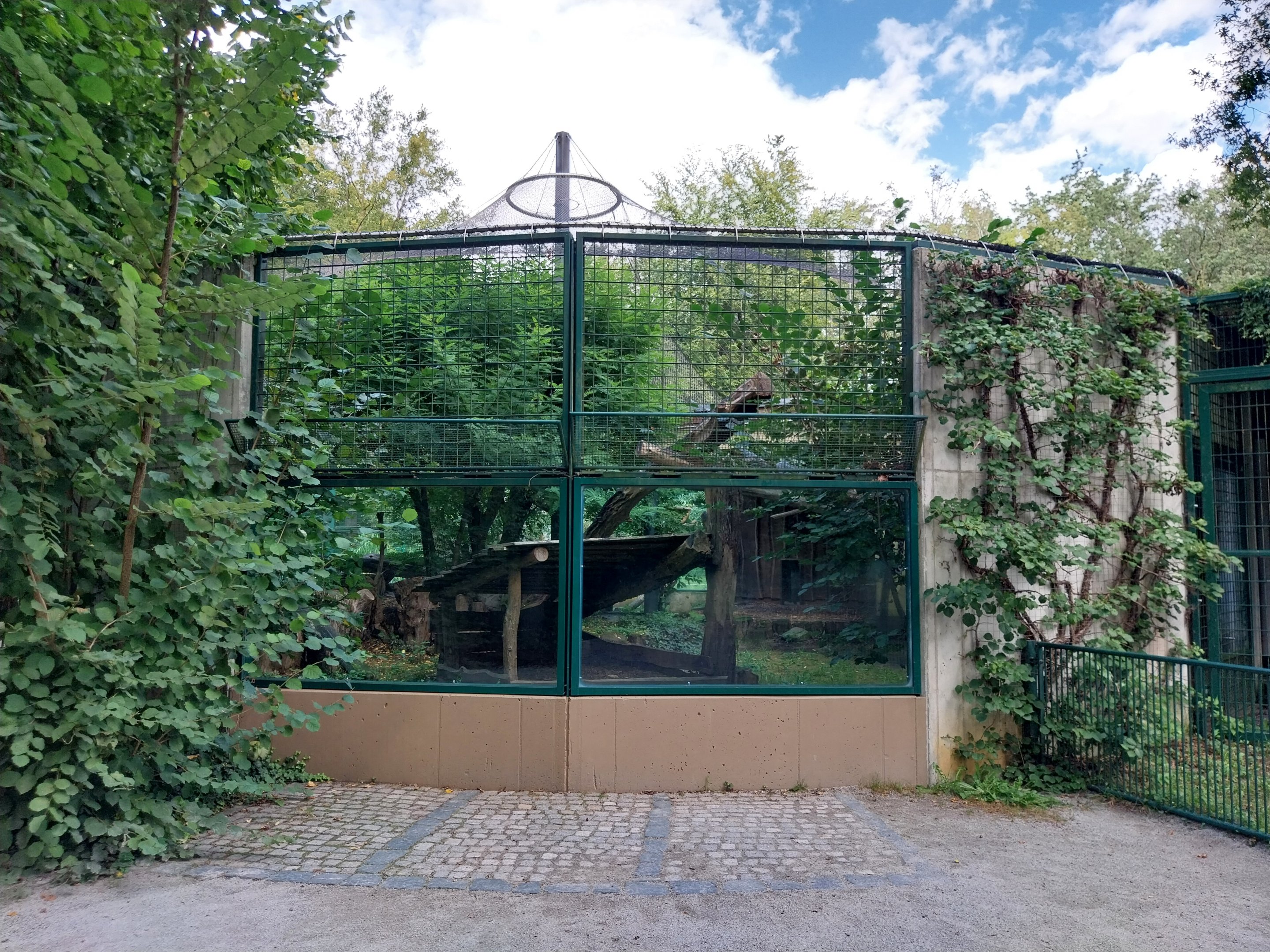 Carnivore House - North Chinese Leopard (Panthera pardus japonensis)