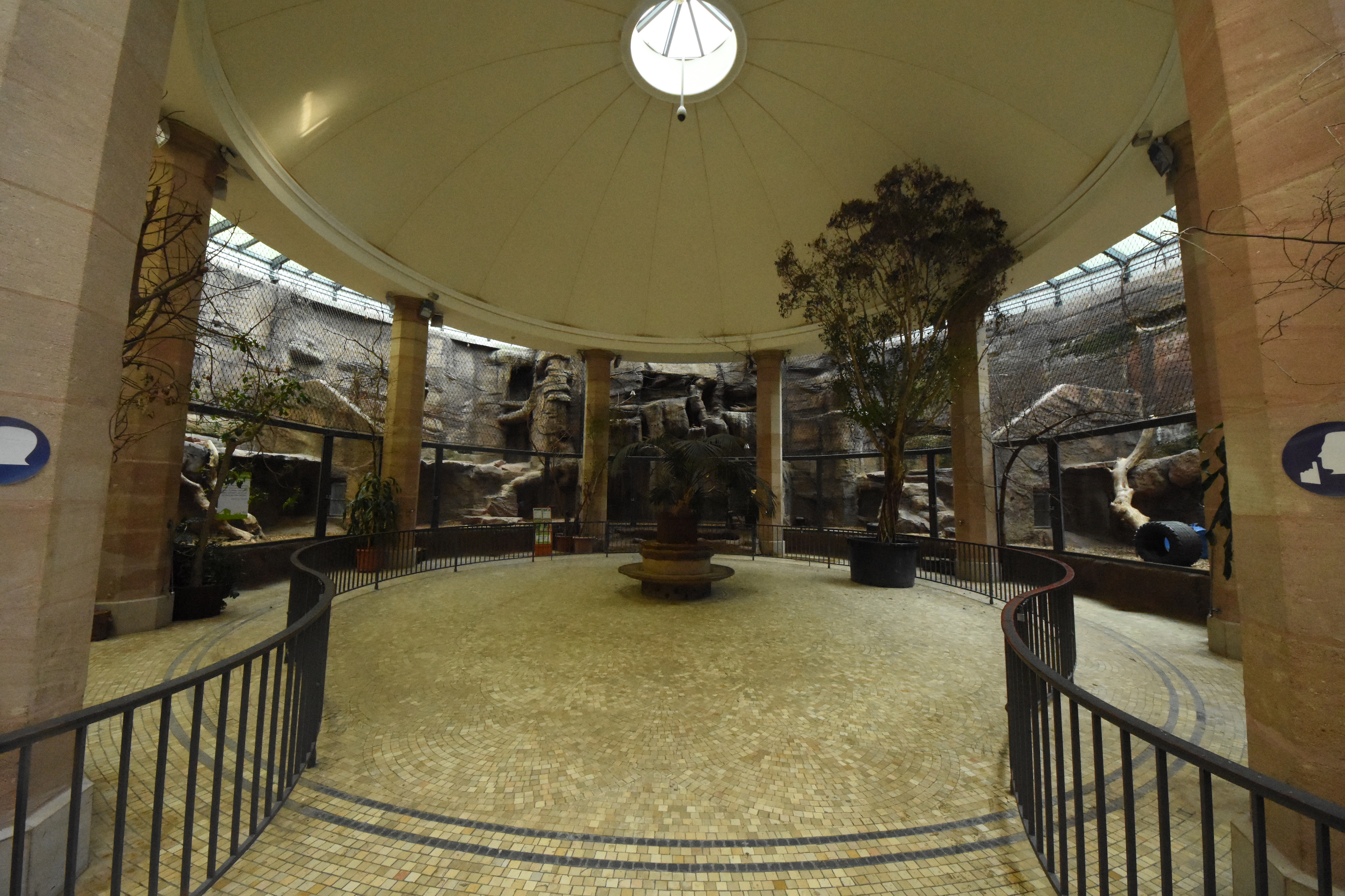 Carnivore house - overview