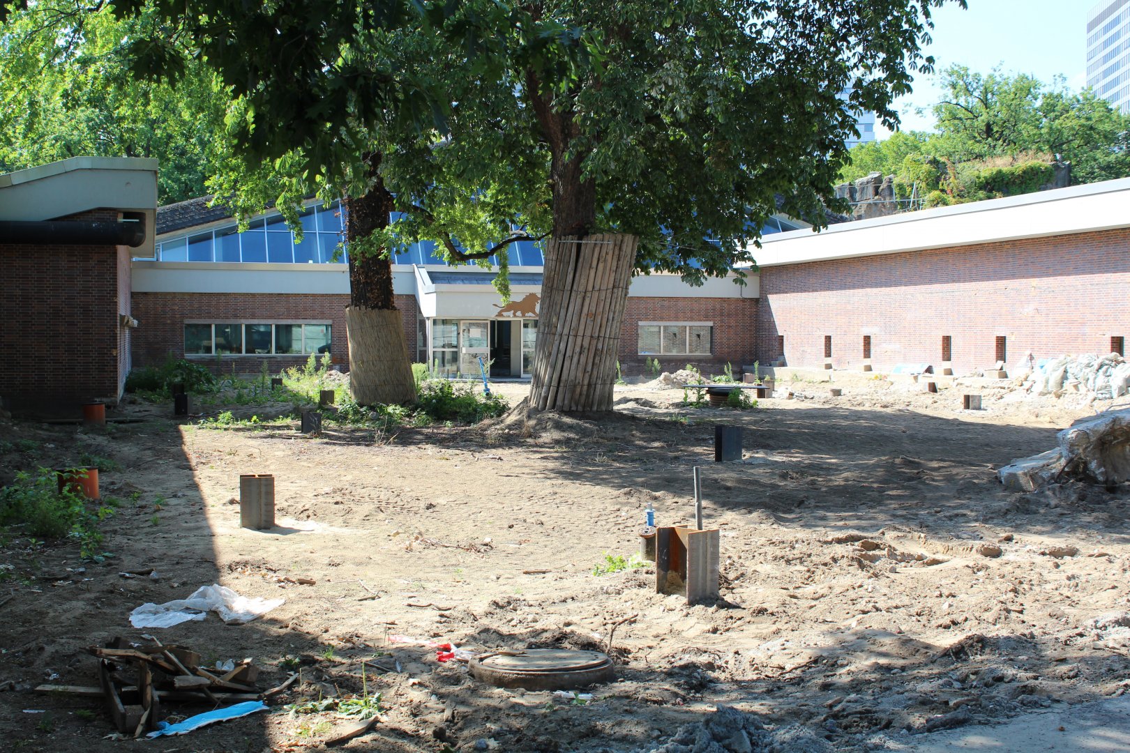 Carnivore House Renovation - July 2019