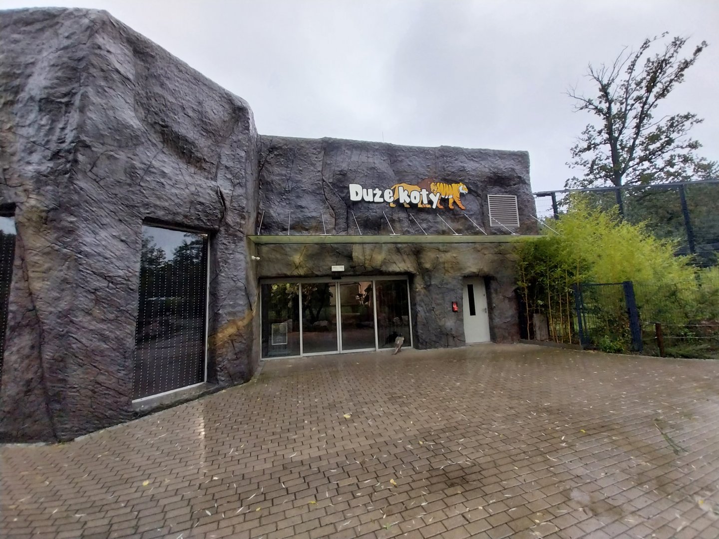 Carnivore House (Siberian tiger and Southwest African lion)