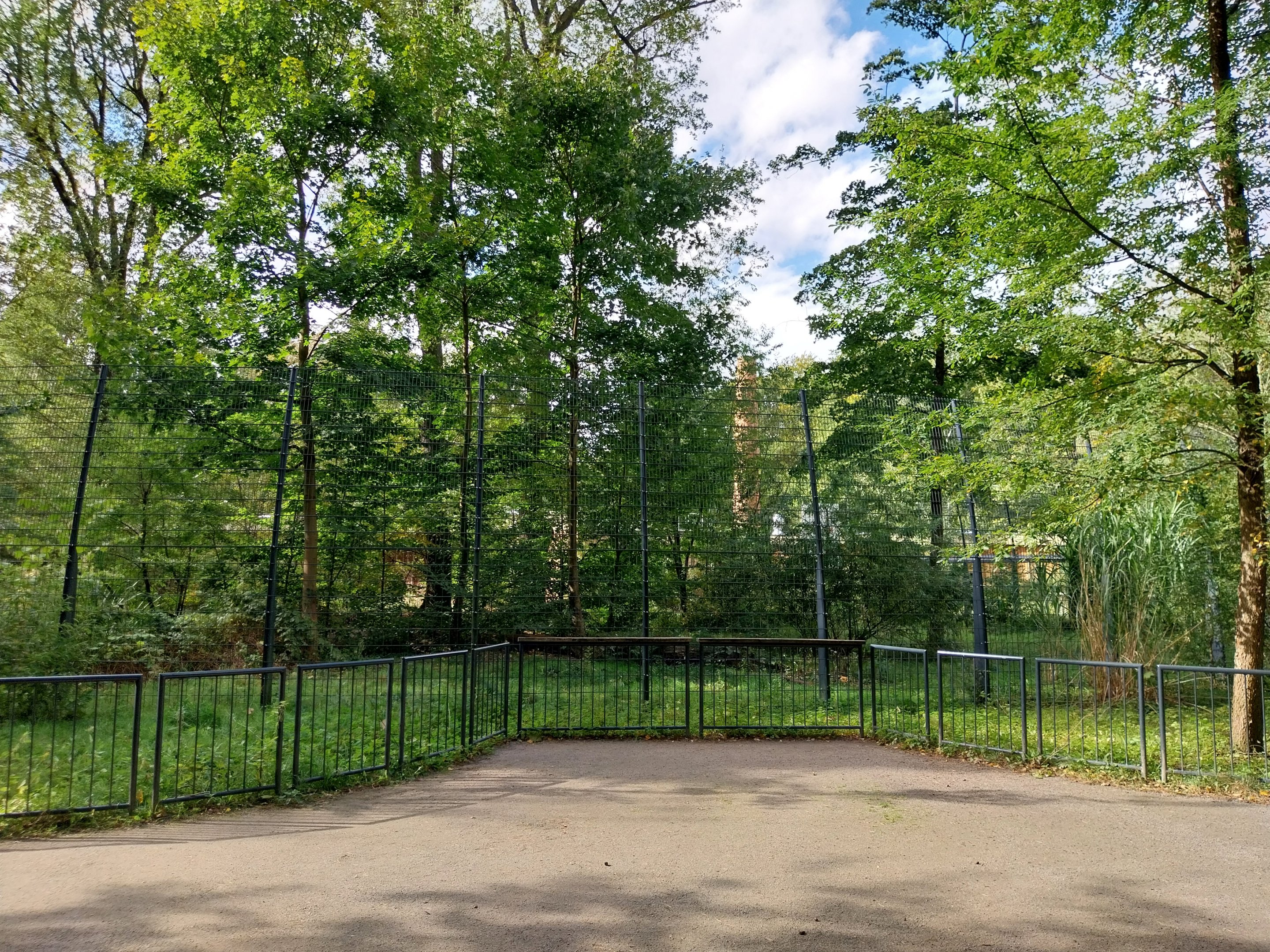 Carnivore House - Sumatran Tiger (Panthera tigris sumatrae)