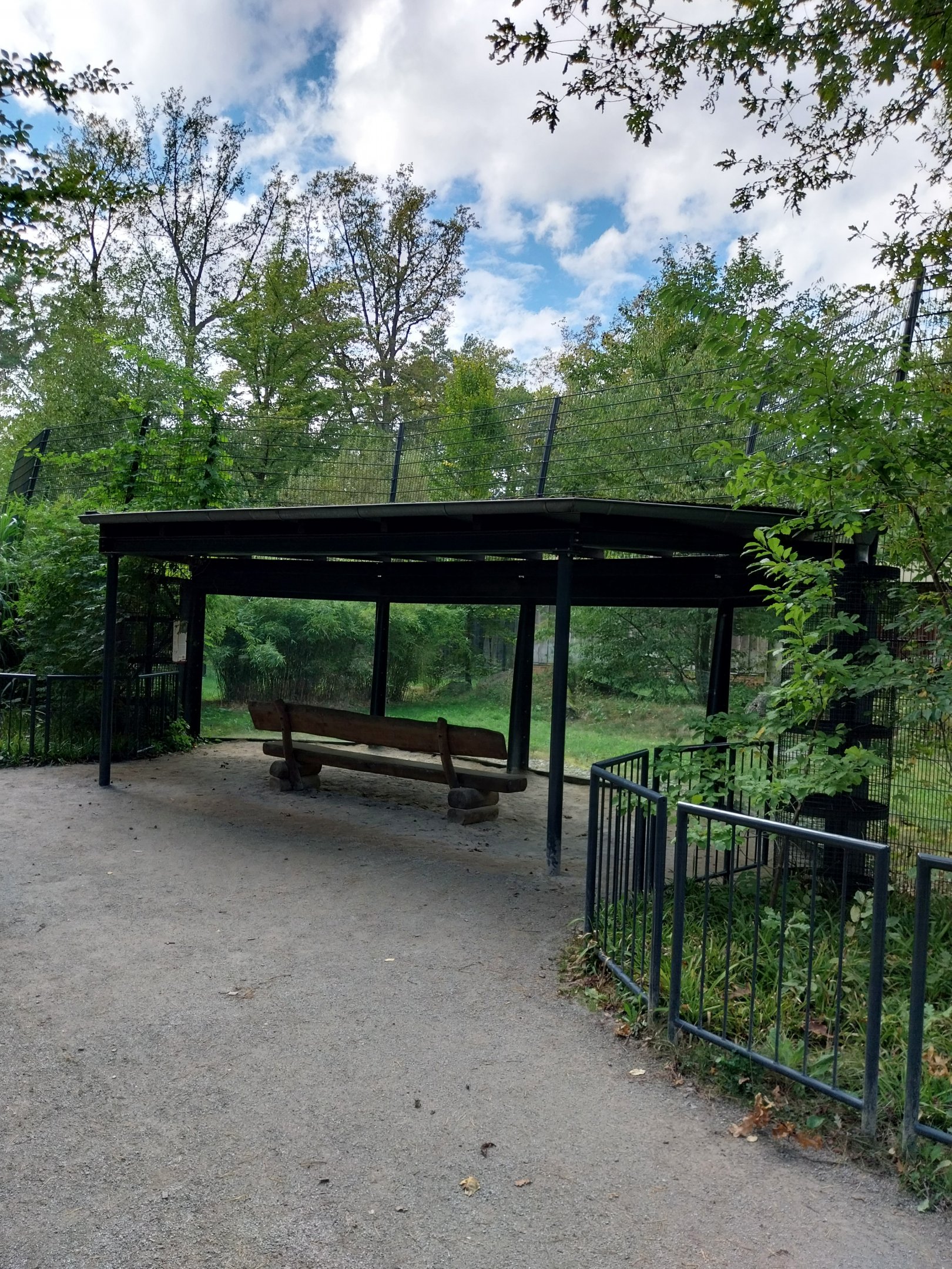 Carnivore House - Sumatran Tiger (Panthera tigris sumatrae)