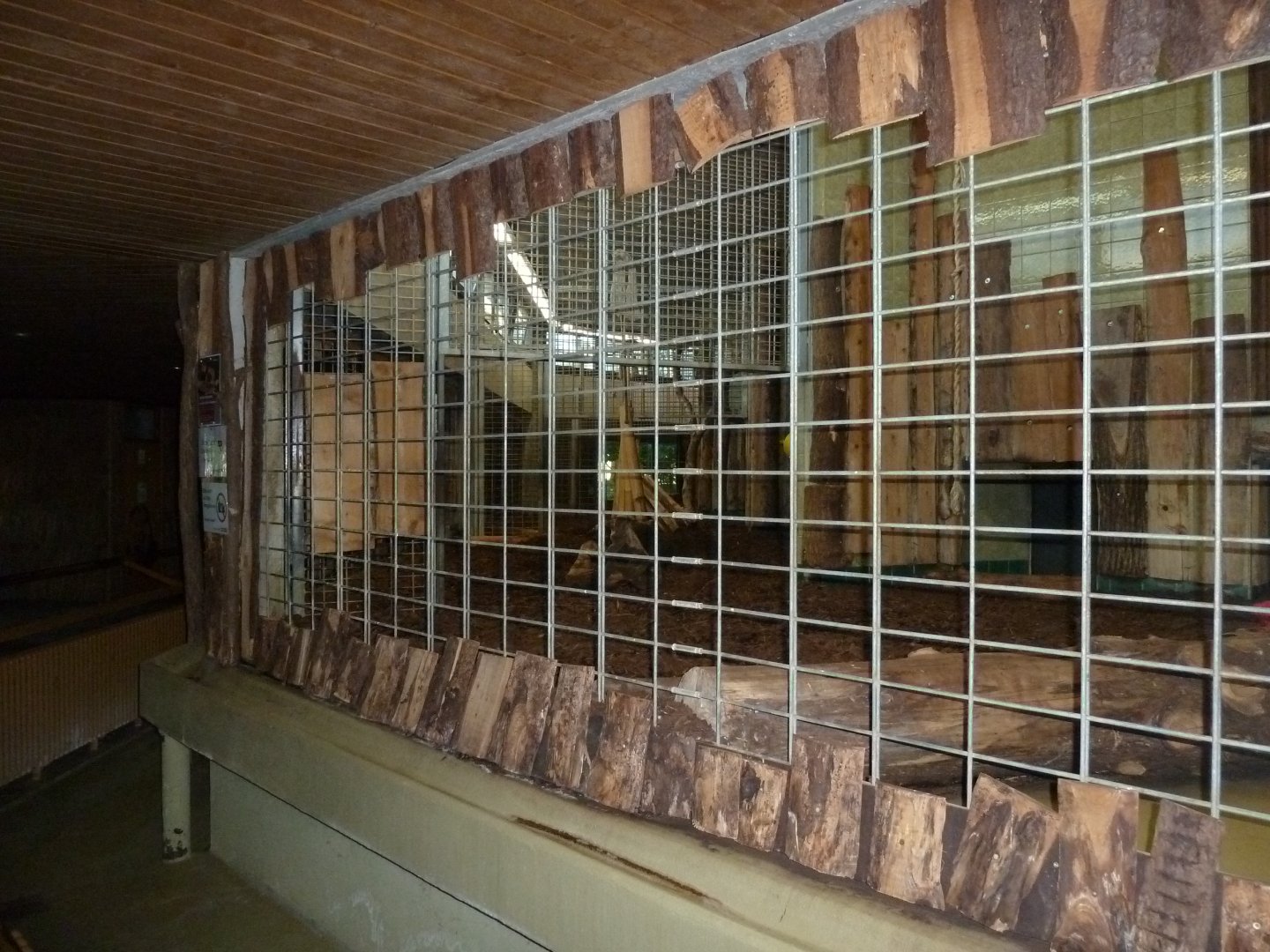 Carnivore house - Tiger cage