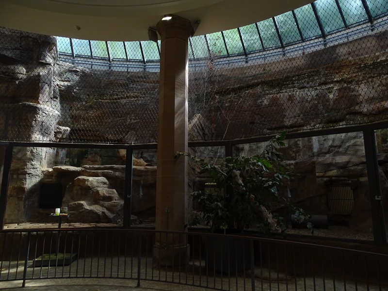 Carnivore House: Tiger indoor enclosure