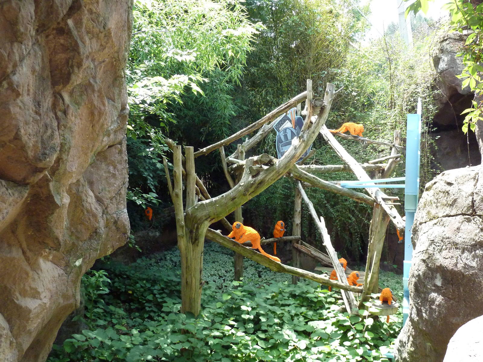 Carnivore Kingdom - LEGO Display - Golden Lion Tamarin Exhibit