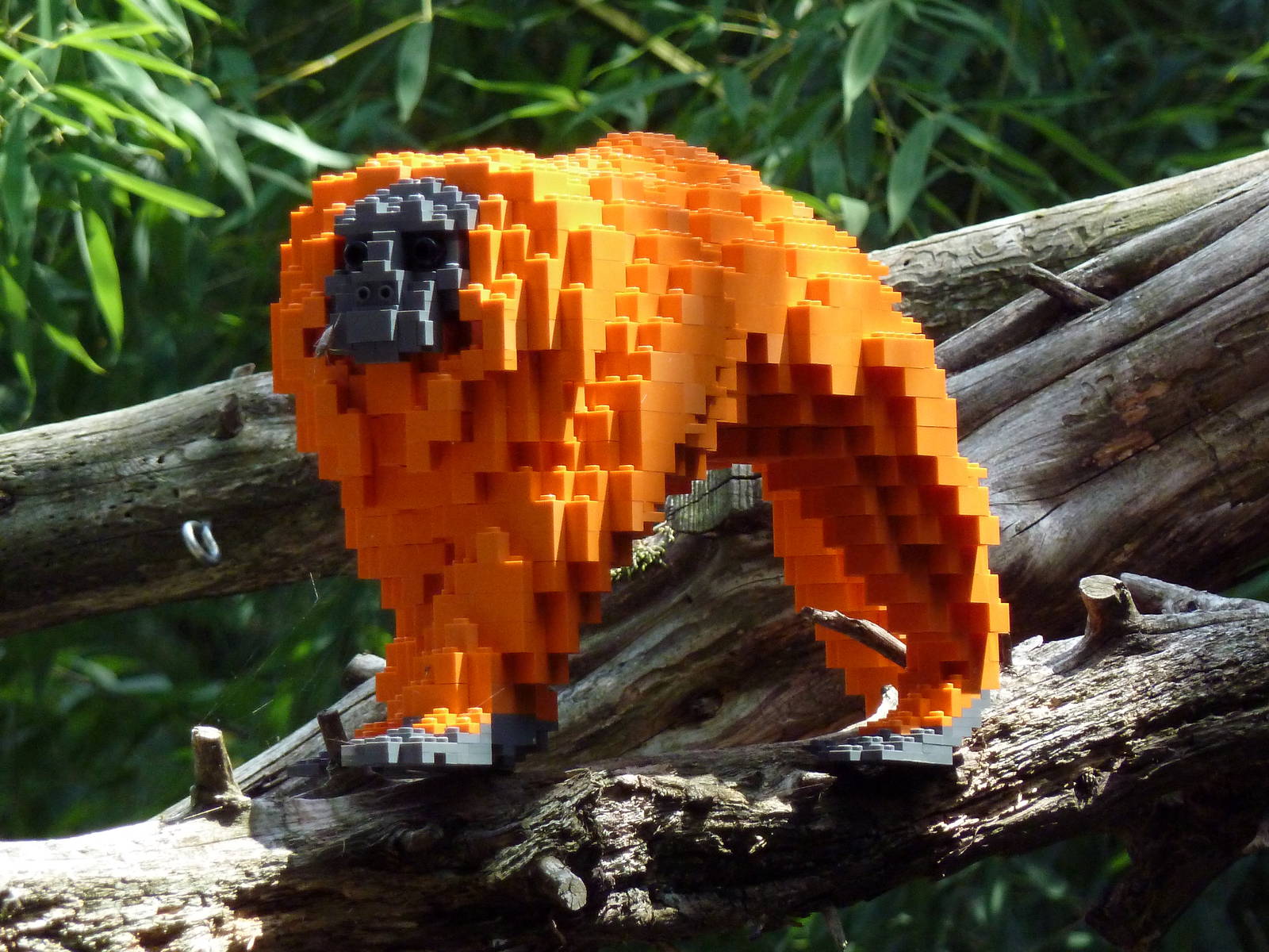 Carnivore Kingdom - LEGO Display - Golden Lion Tamarin