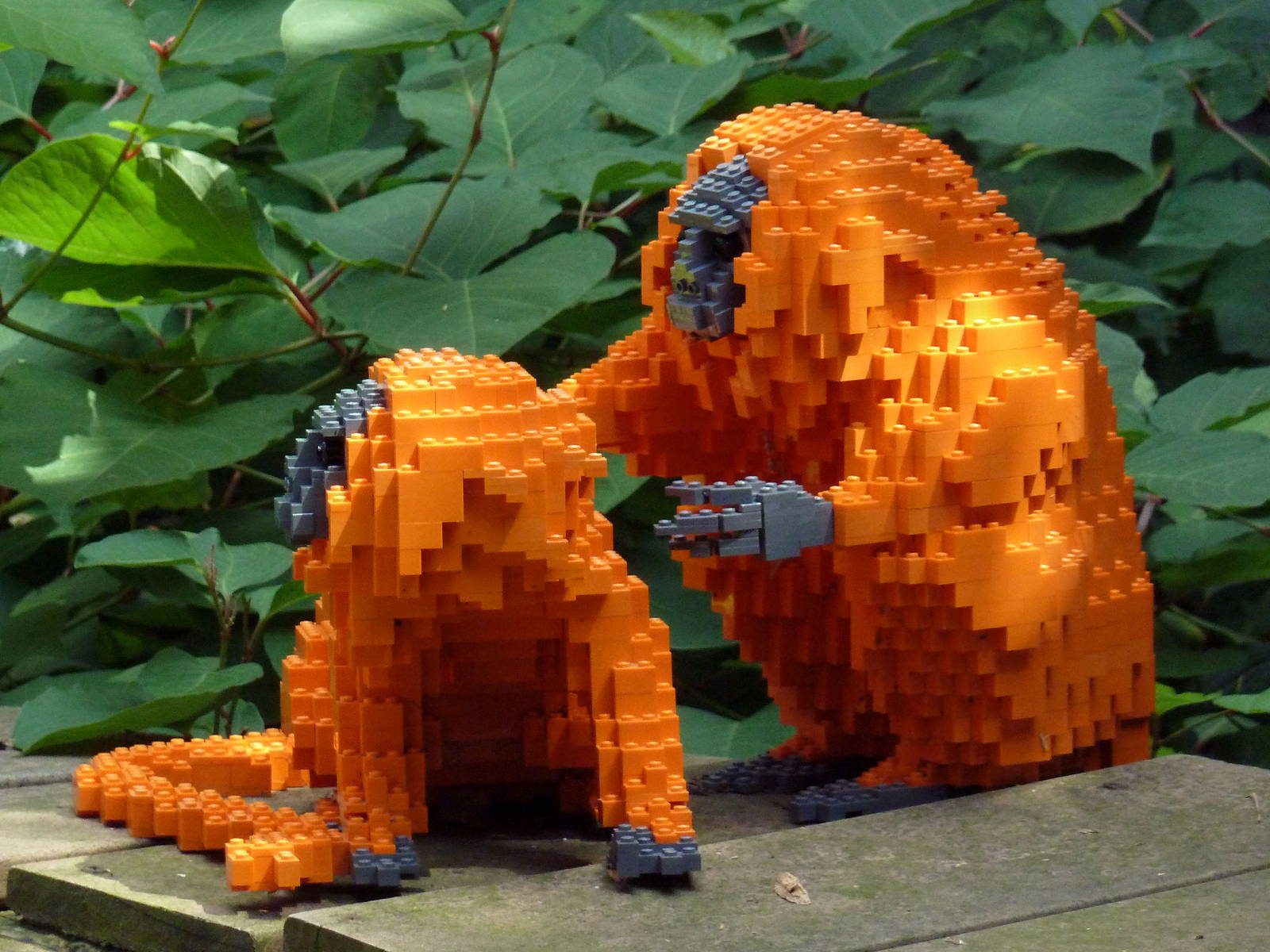 Carnivore Kingdom - LEGO Display - Golden Lion Tamarins