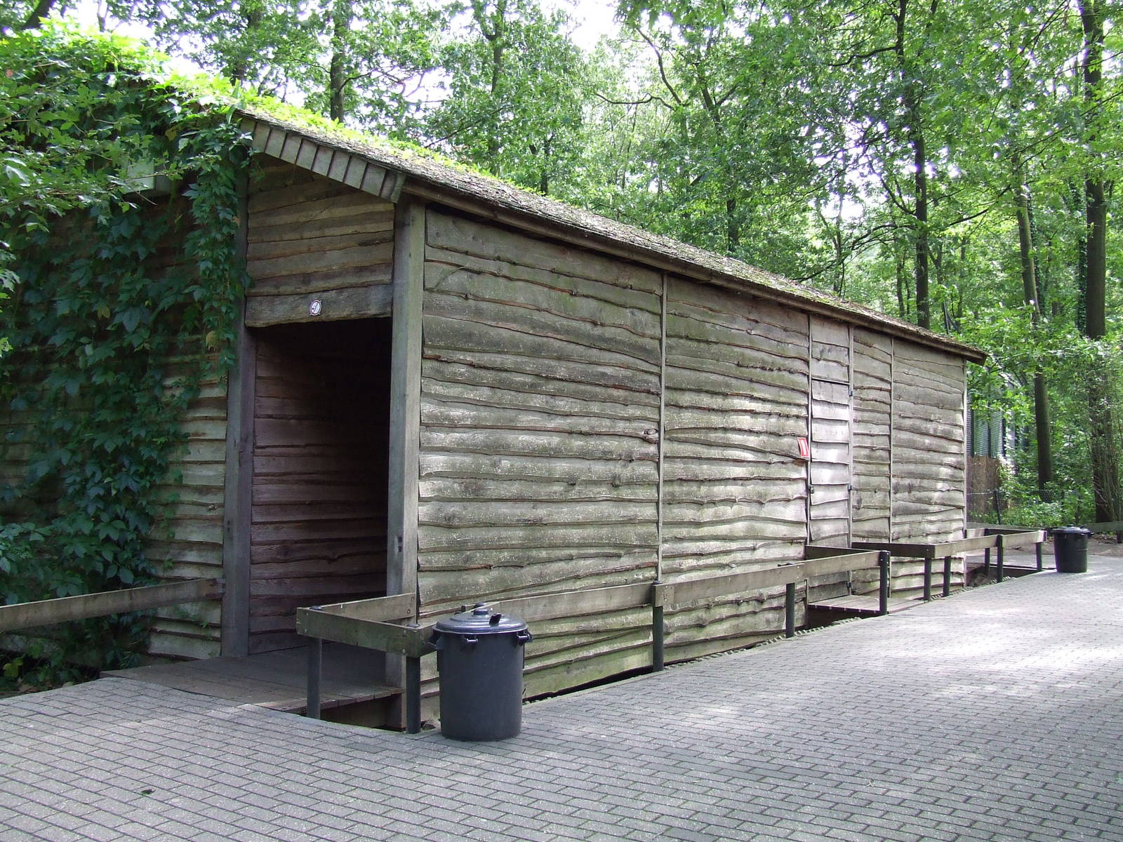 Carnivore Viewing Hut, Burgers Safari