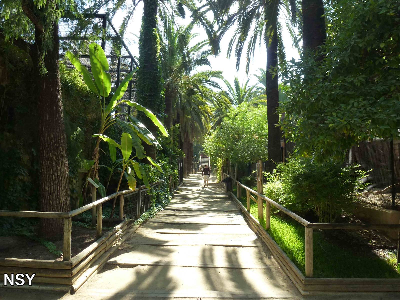 Carnivore walk, July 2013.