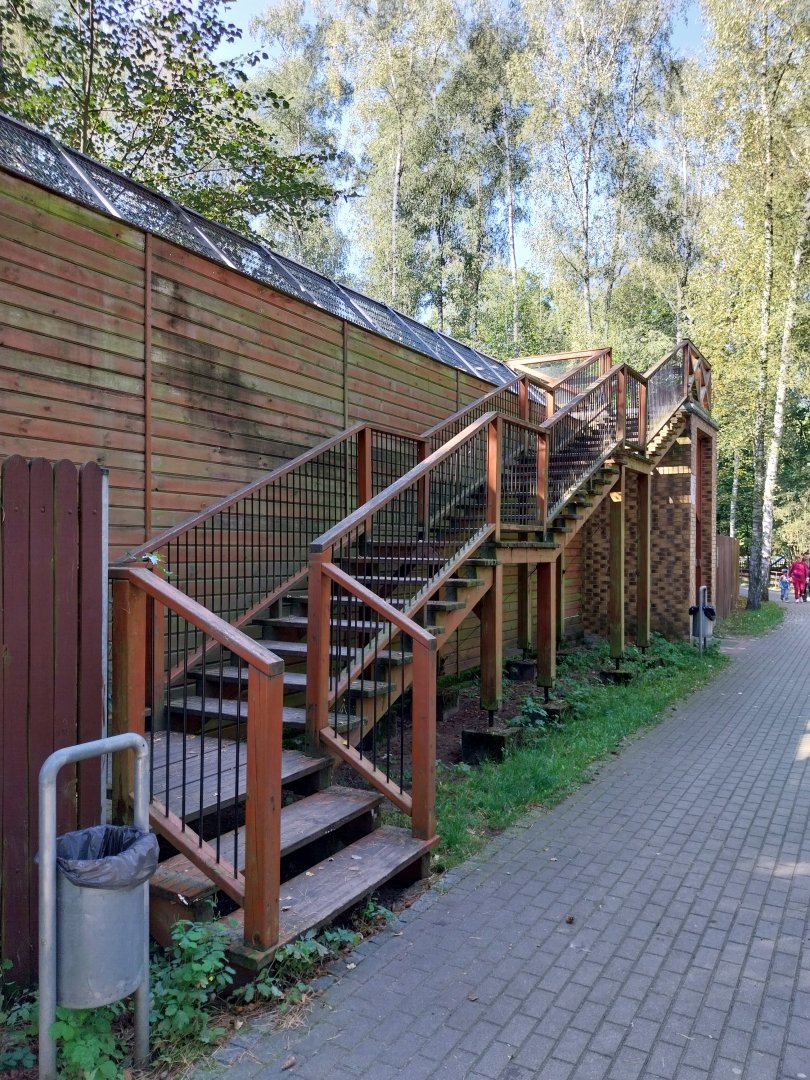 Carnivores - Acces to tiger viewing platform