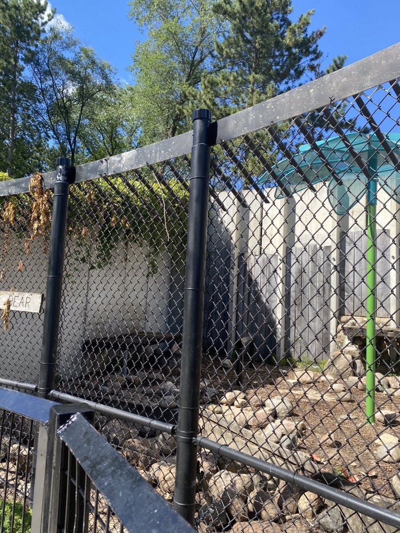 Carnivores- American black bear exhibit