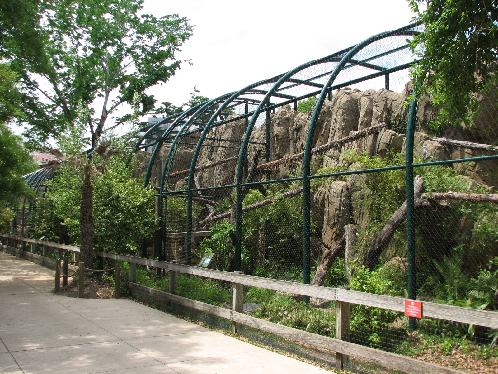 Carnivores - Clouded Leopard Exhibits