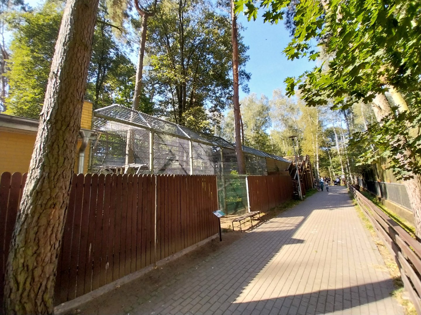 Carnivores general view