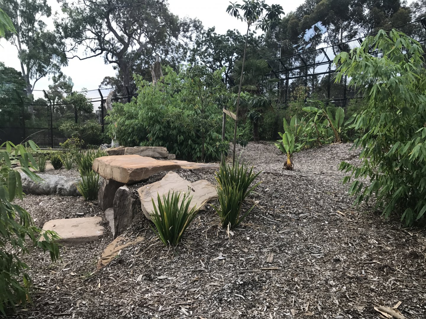 Carnivores - Second Snow Leopard enclosure