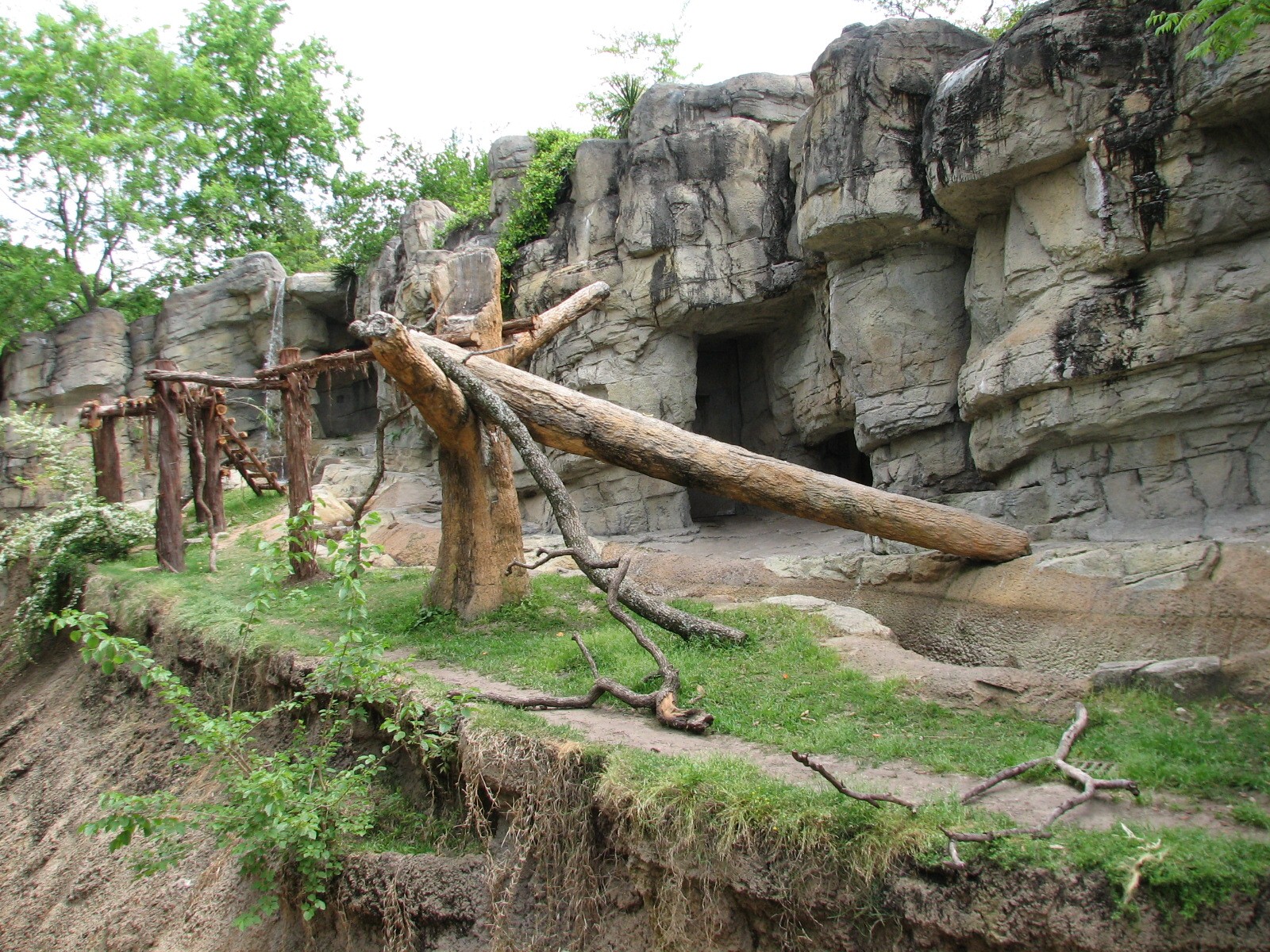 Carnivores - Spectacled Bear Exhibit