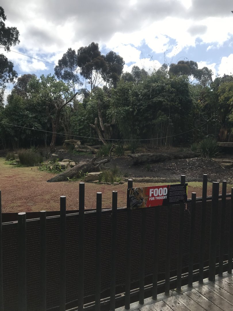 Carnivores Trail Sumatran Tiger enclosure