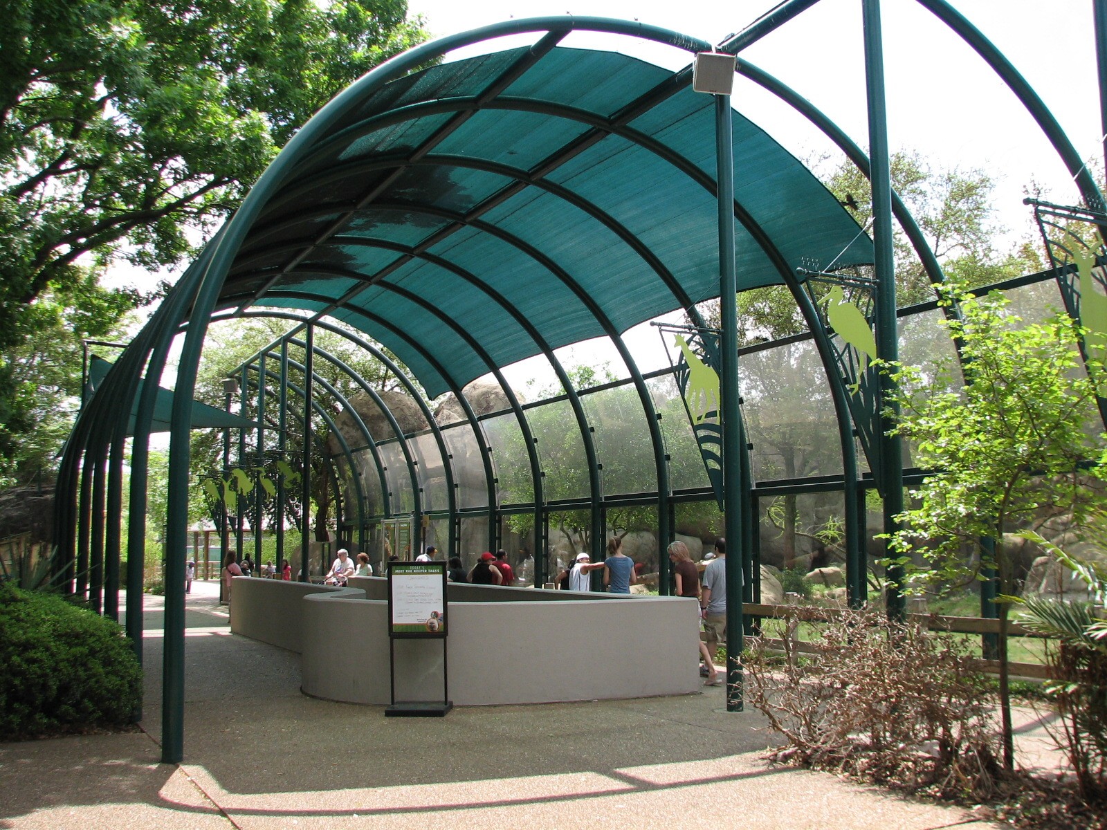 Carnivores - Walkway