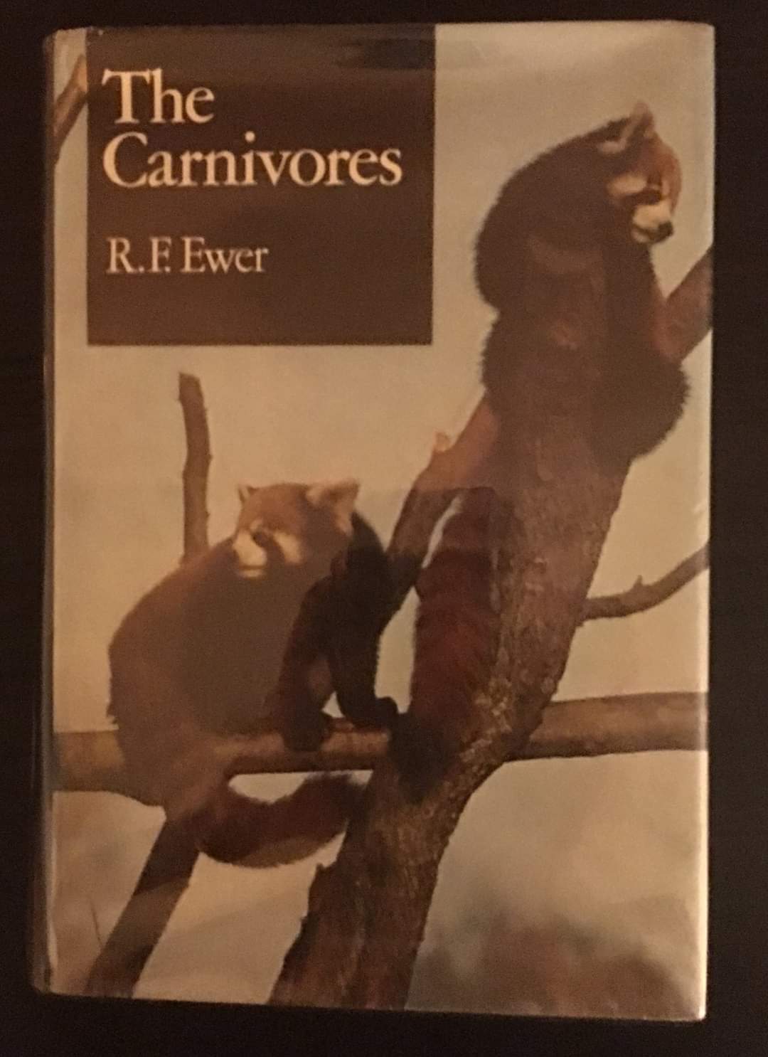 Carnivores