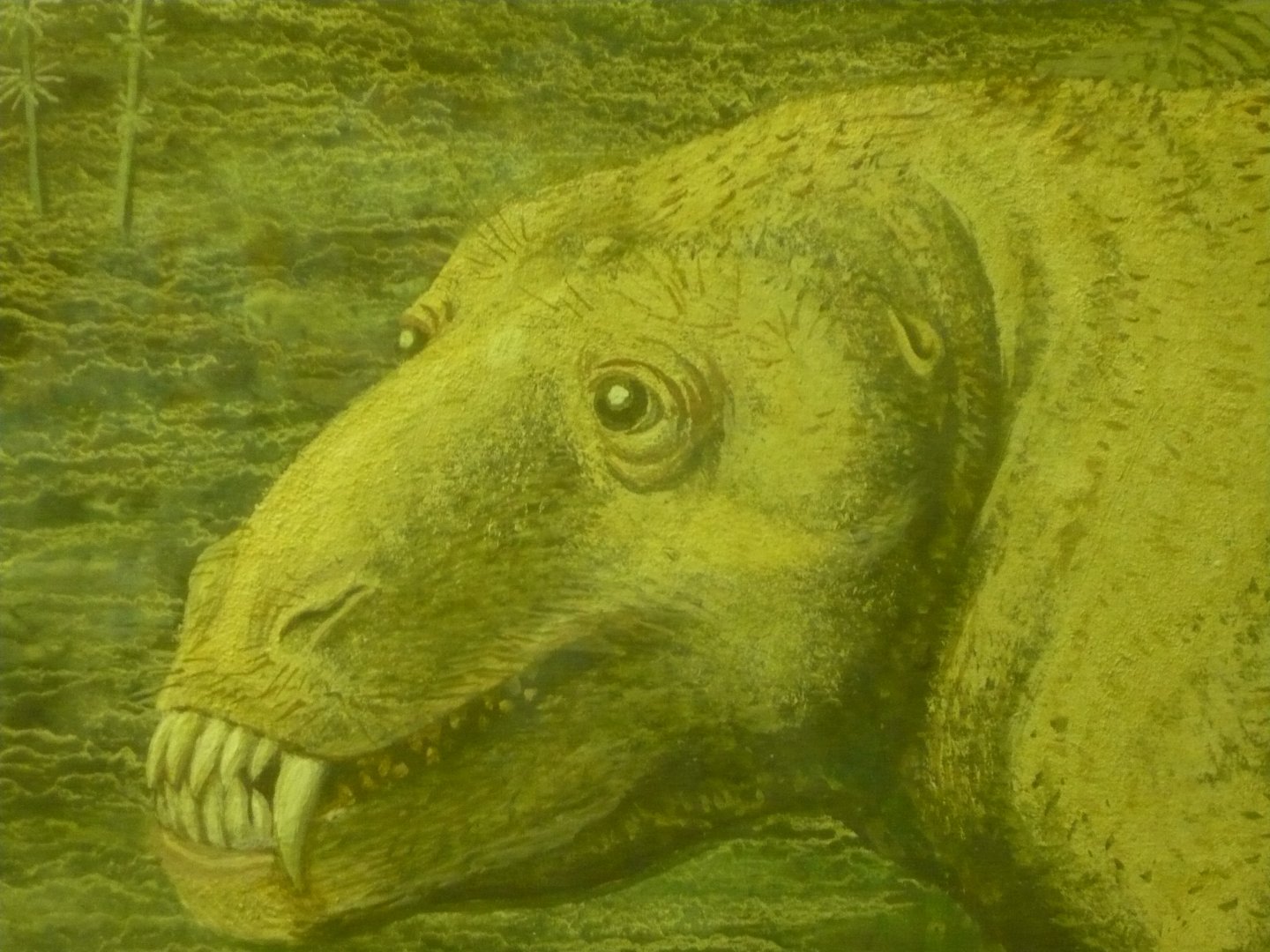 Carnivorous dinocephalian reconstruction