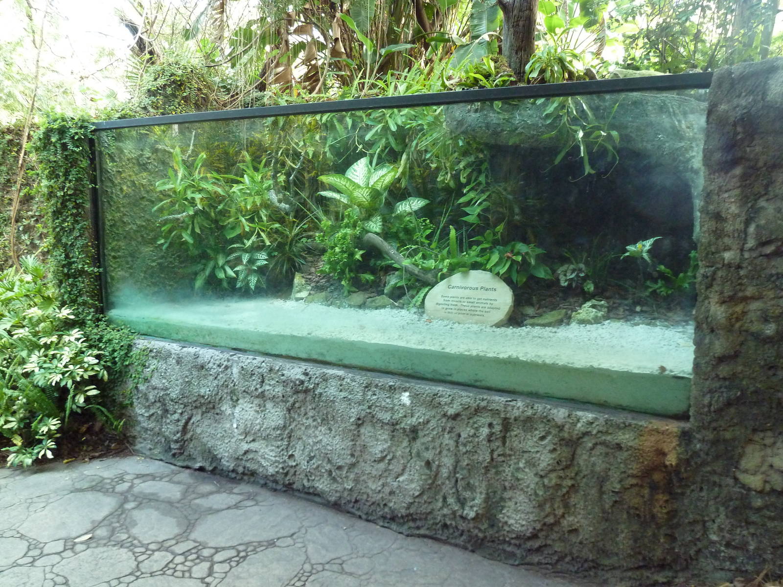 Carnivorous Plant Exhibit