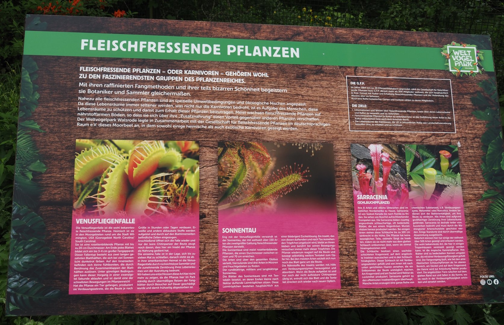 Carnivorous plants sign, 2024-05-21