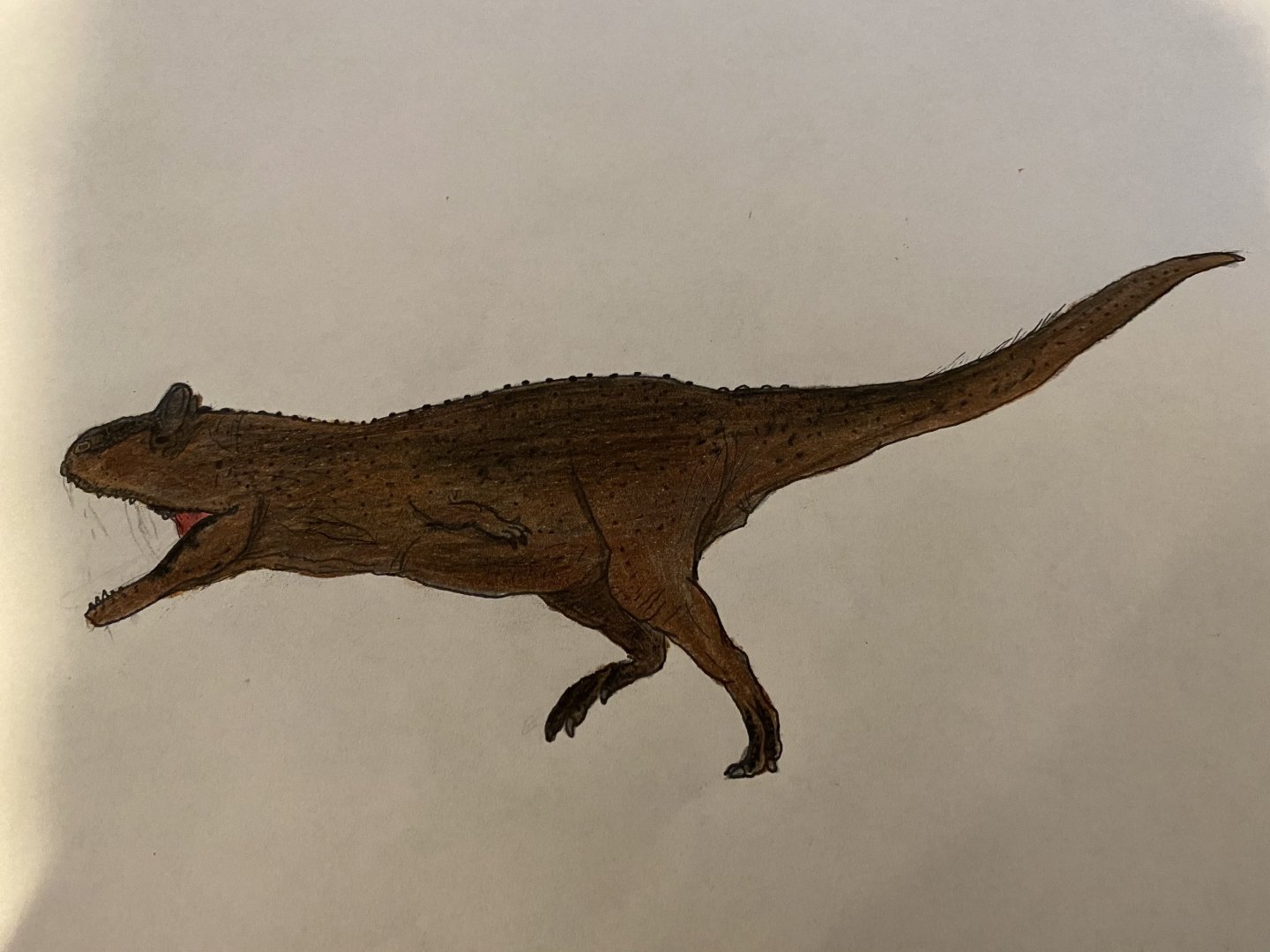 Carnotaurus sastrei (My depiction)
