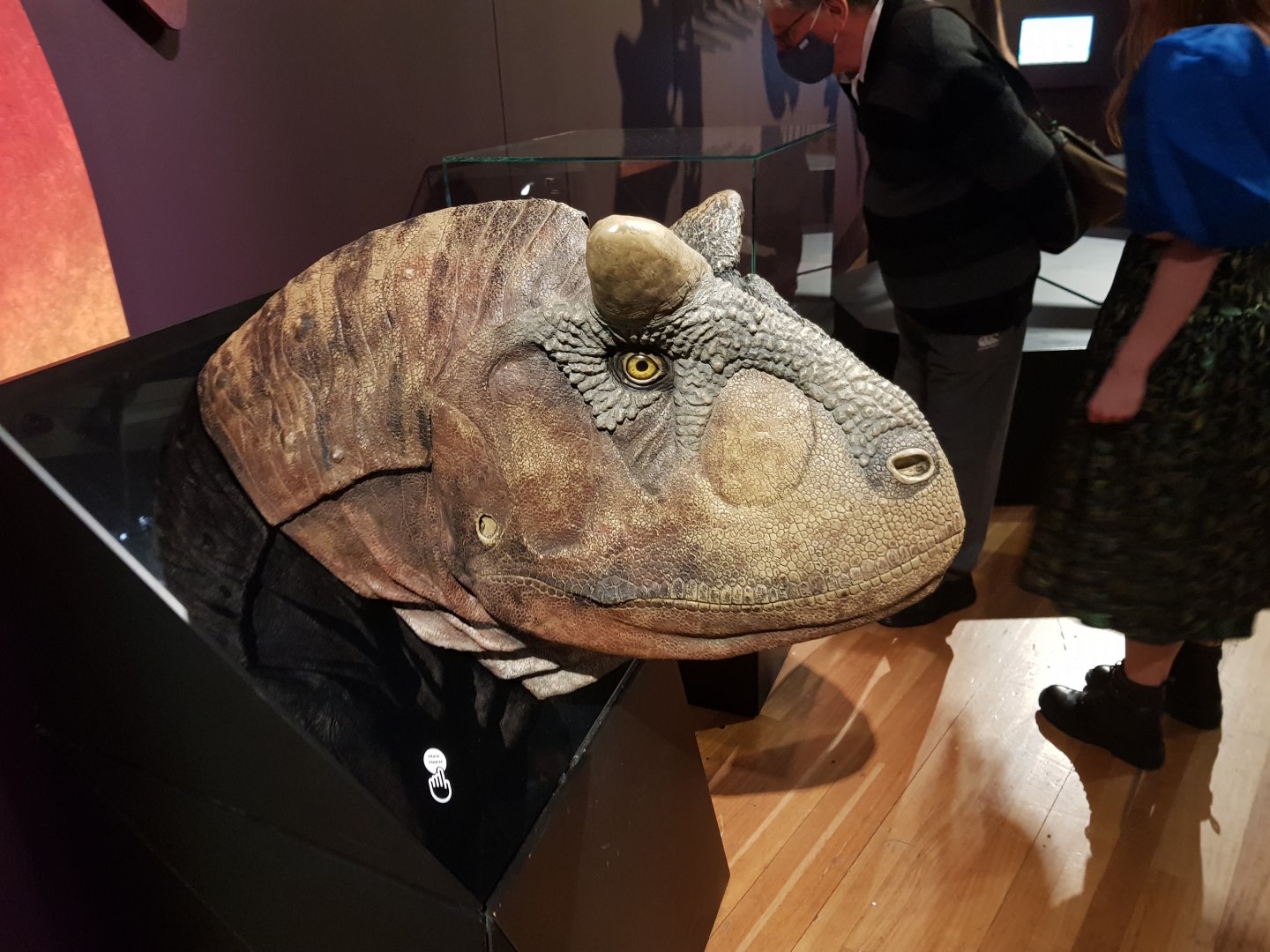 Carnotaurus sastrei-Ngā Taniwha o Rūpapa | Dinosaurs of Patagonia, Te Papa