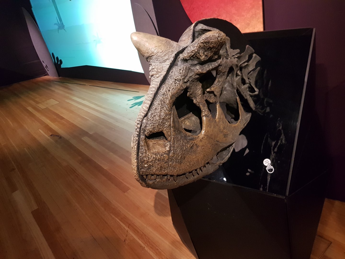Carnotaurus sastrei-Ngā Taniwha o Rūpapa | Dinosaurs of Patagonia, Te Papa
