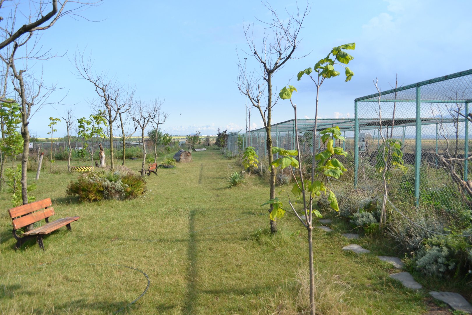 Carnovire exhibits for coatis, polar foxes and racoons