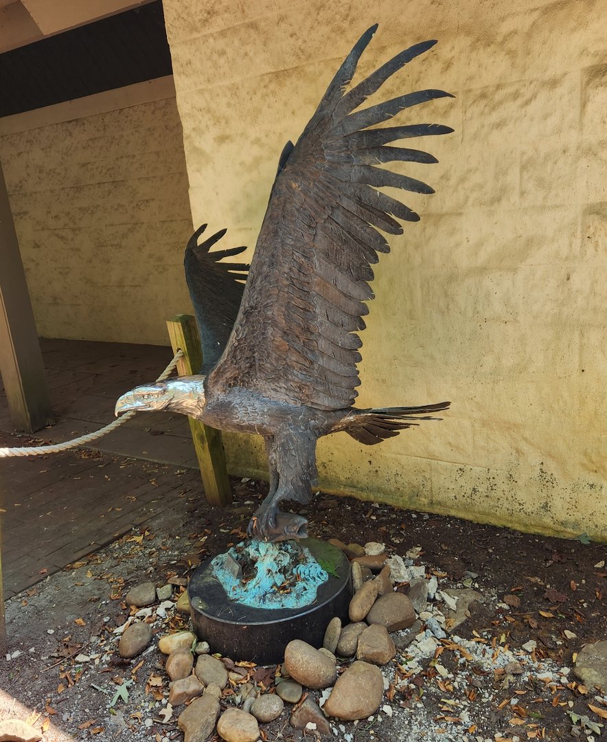 Carolina Raptor Center - Eagle statue