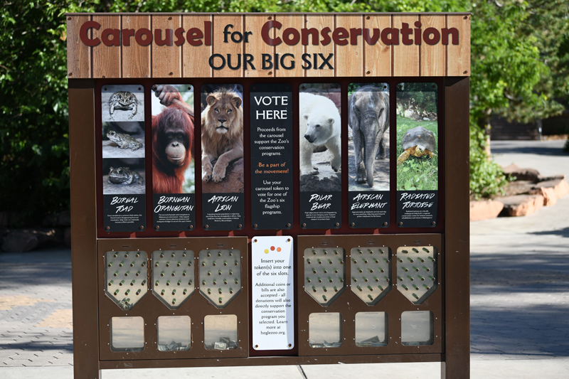 carousel conservation projects