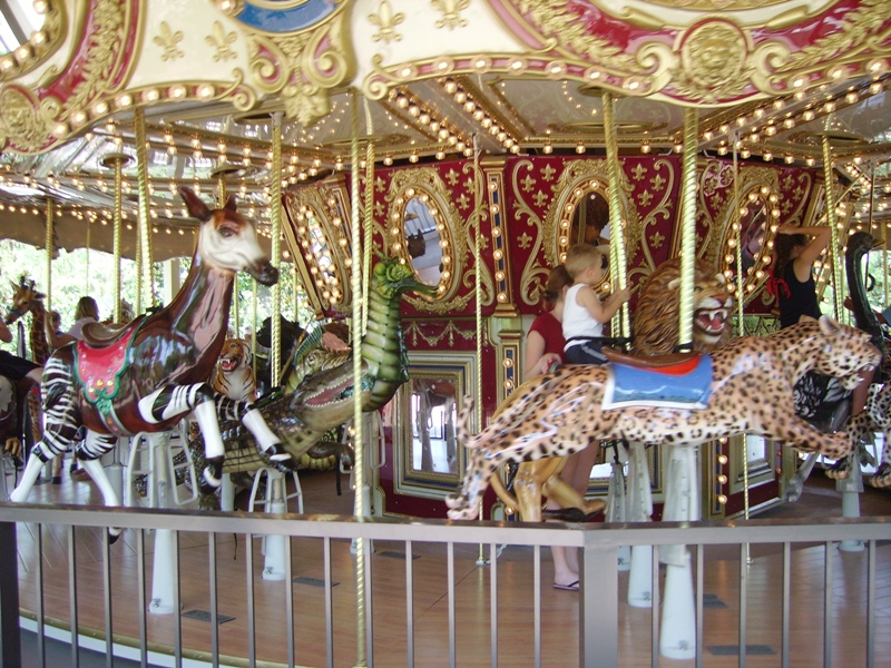 Carousel - Kid's Zone