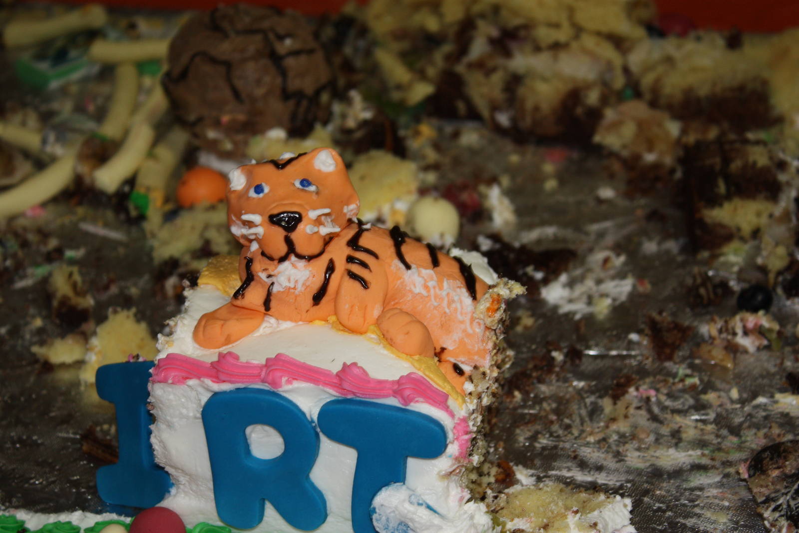 Carousel- The Delicious Frosted Tiger