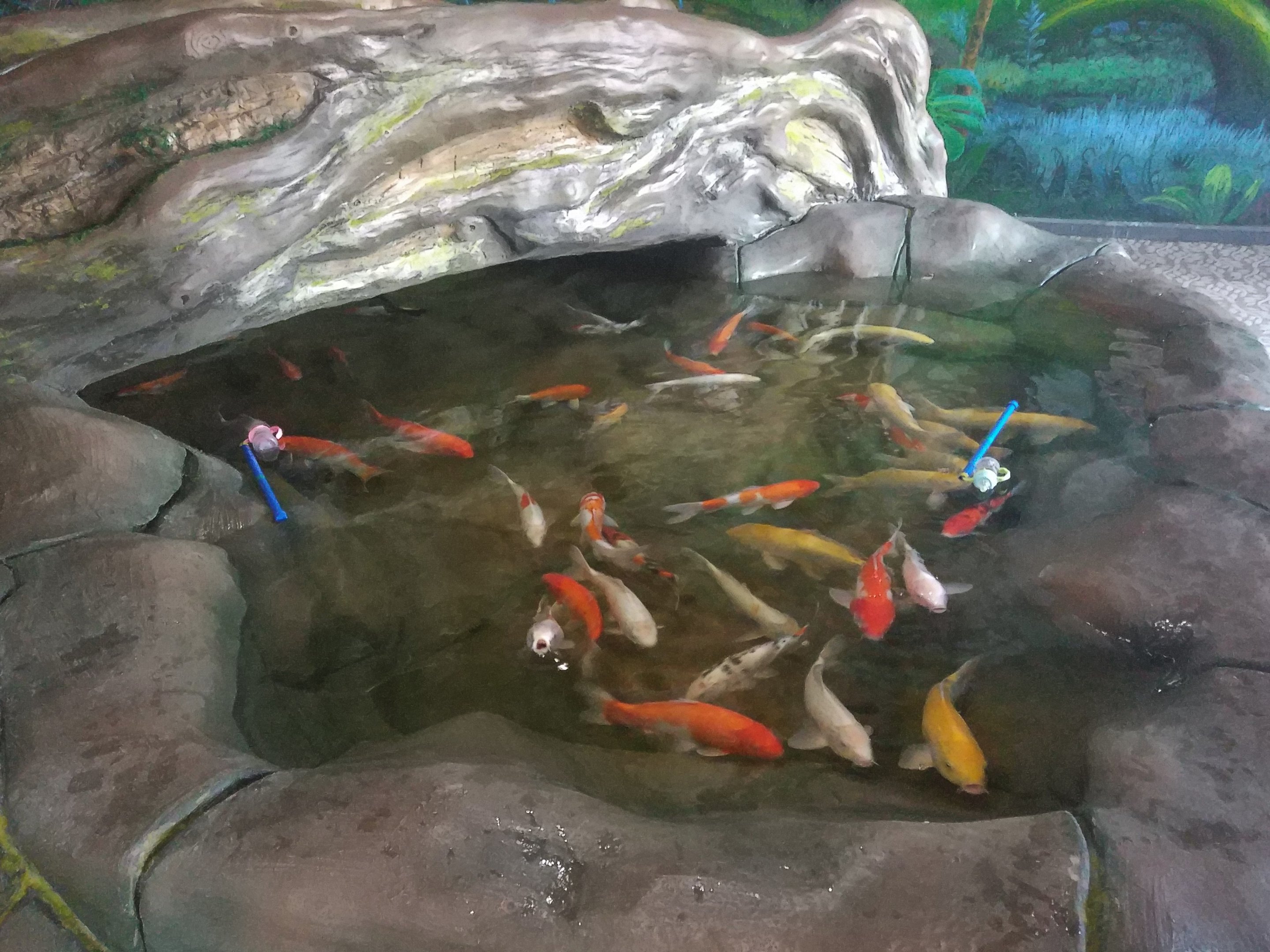 Carp Exhibit