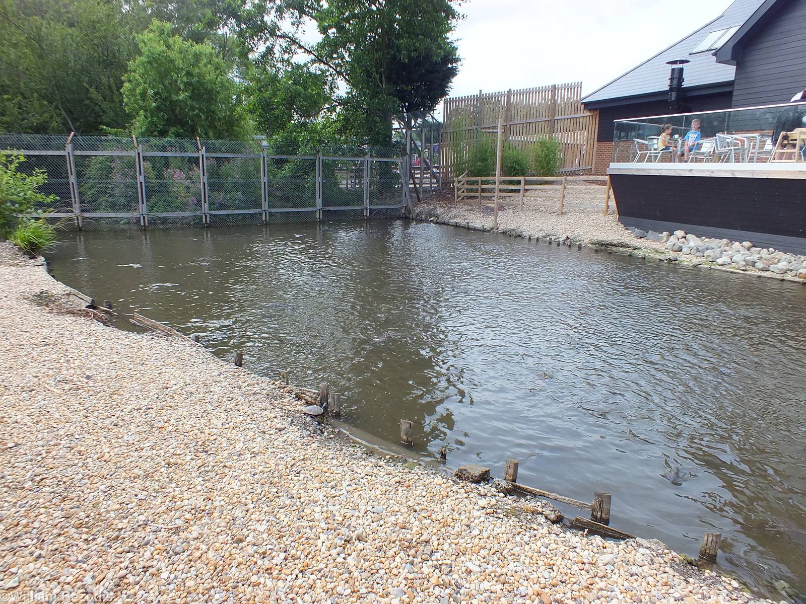 Carp Pond by the Entrance